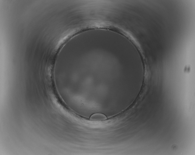 X0000114640010200910201453
