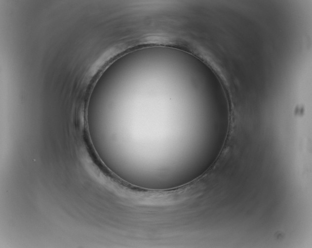 X0000114640011200910201453