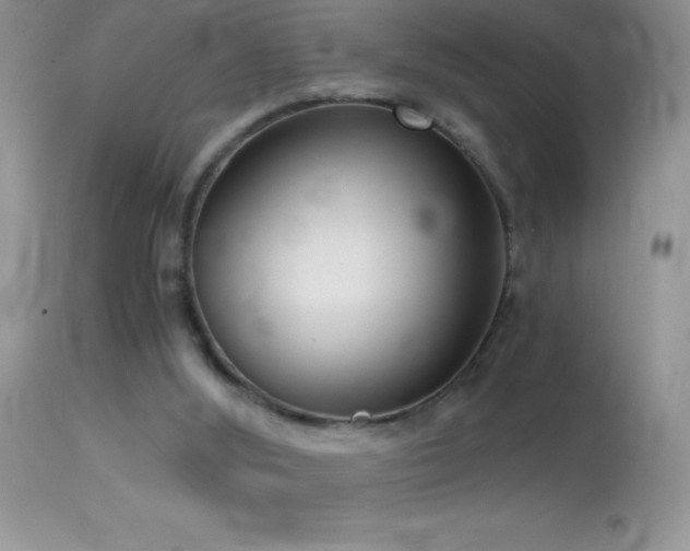 X0000114640012200910201453