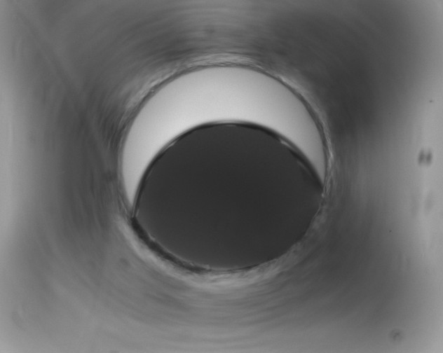 X0000114640013200910201453
