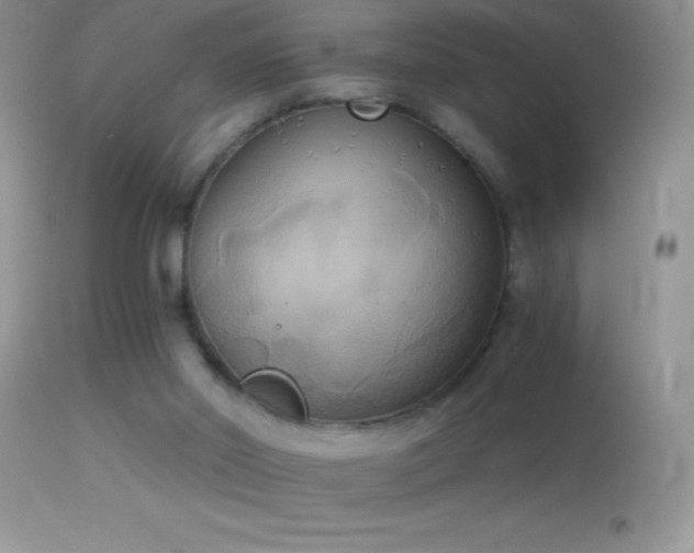 X0000114640014200910201453