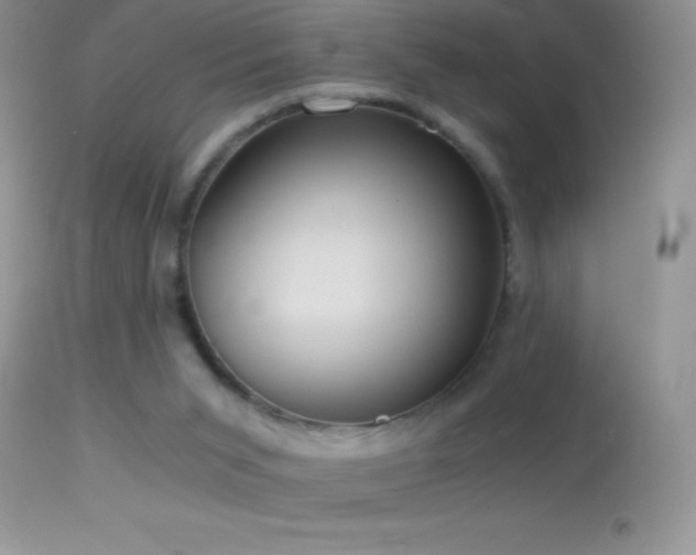 X0000114640015200910201453