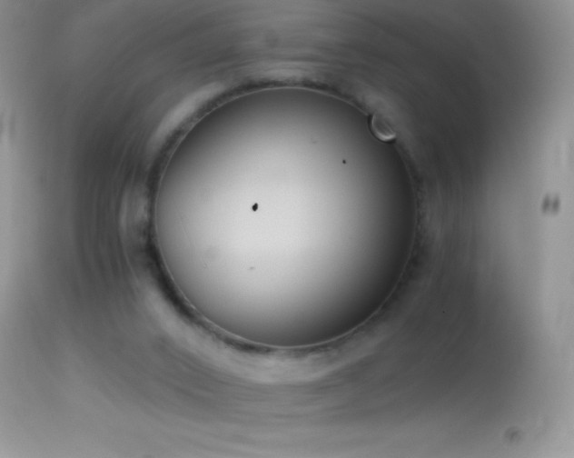 X0000114640016200910201453