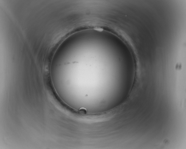 X0000114640017200910201453