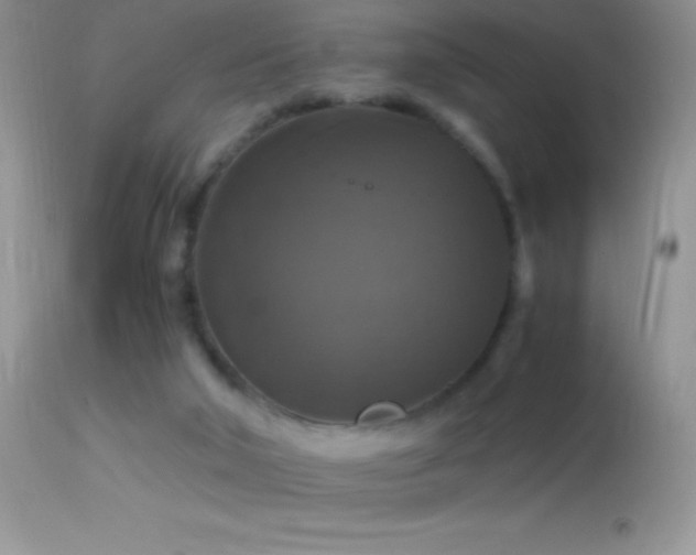 X0000114640018200910201452