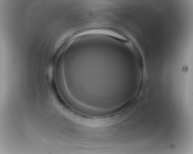 X0000114640019200910201452