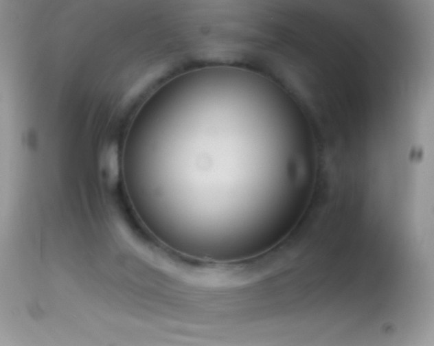 X0000114640020200910201452