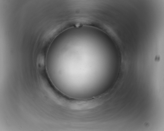 X0000114640021200910201452