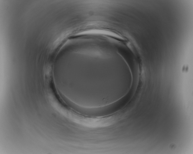 X0000114640023200910201452
