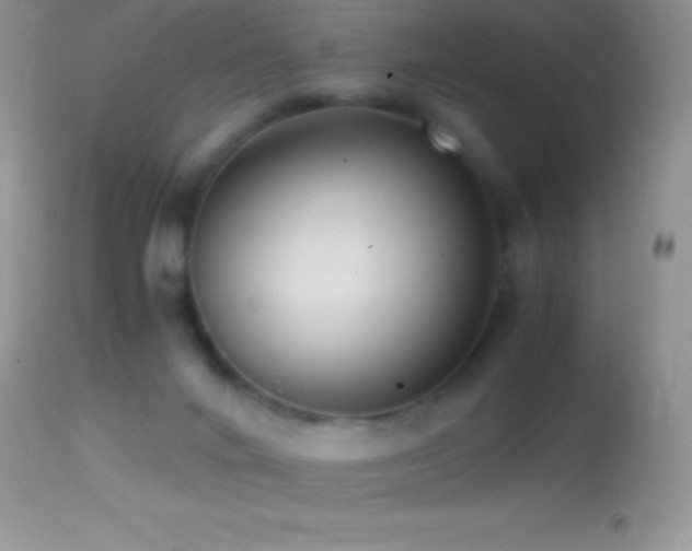 X0000114640024200910201452