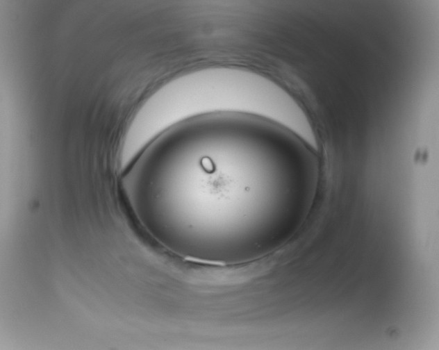X0000114640025200910201452