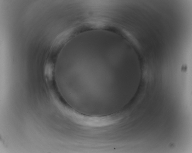 X0000114640026200910201452