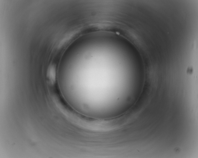 X0000114640028200910201452