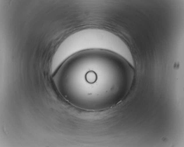 X0000114640029200910201452