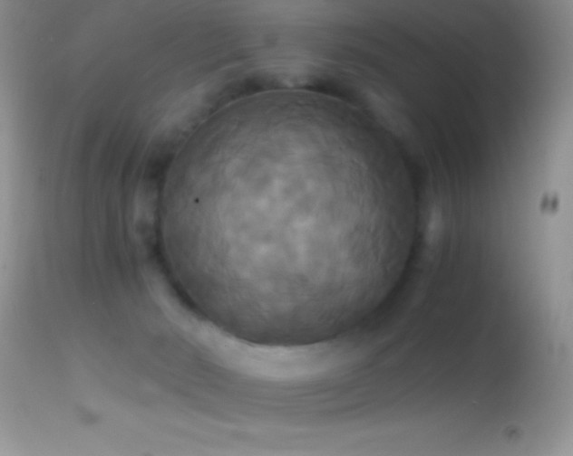 X0000114640030200910201452