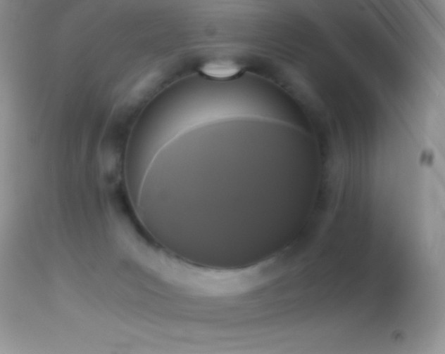 X0000114640031200910201452