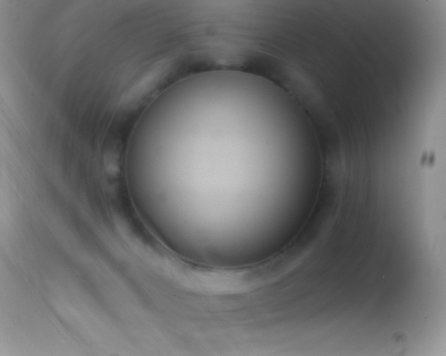 X0000114640032200910201452