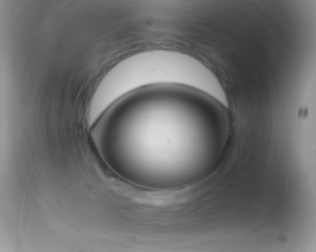 X0000114640033200910201452