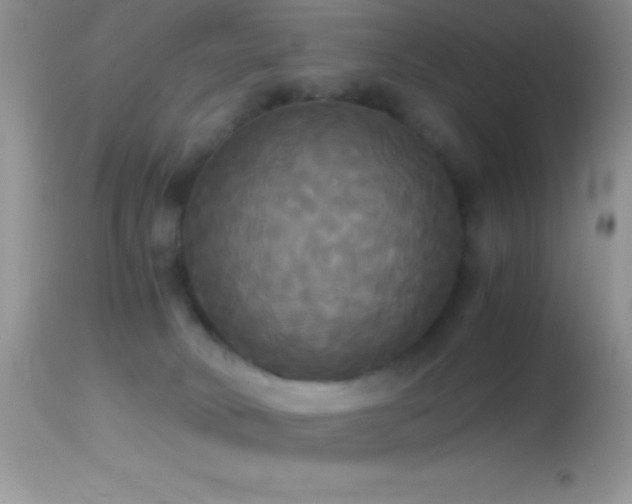 X0000114640034200910201452