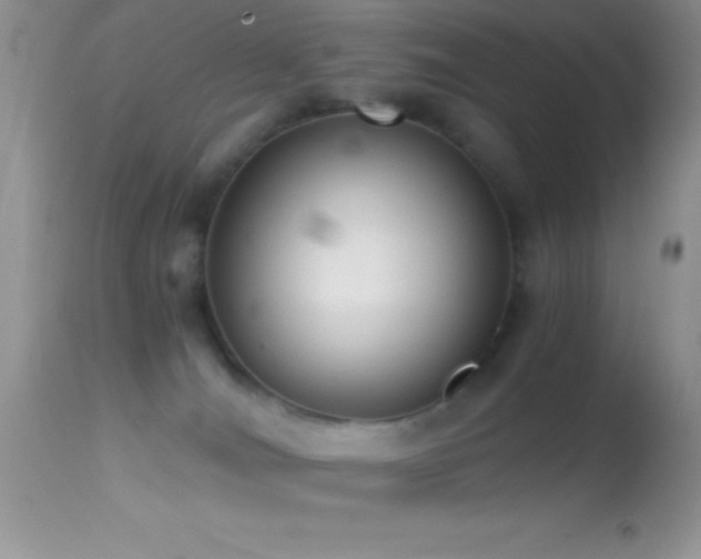X0000114640036200910201452