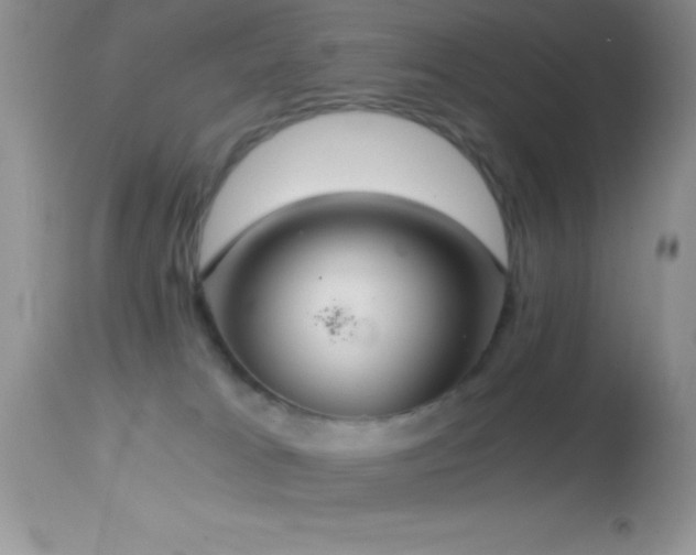 X0000114640037200910201452