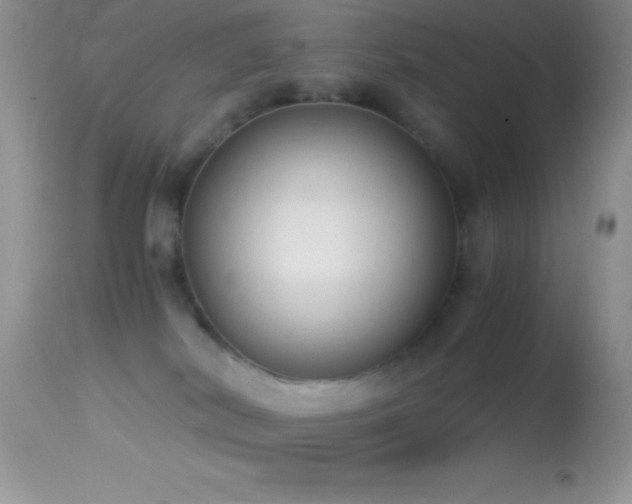 X0000114640038200910201452