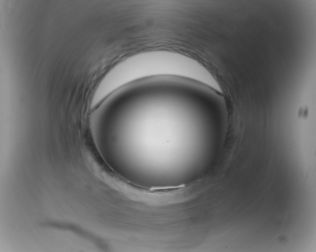 X0000114640039200910201452