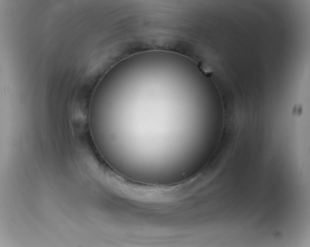 X0000114640040200910201452