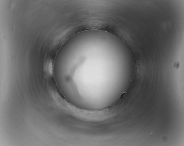 X0000114640042200910201452