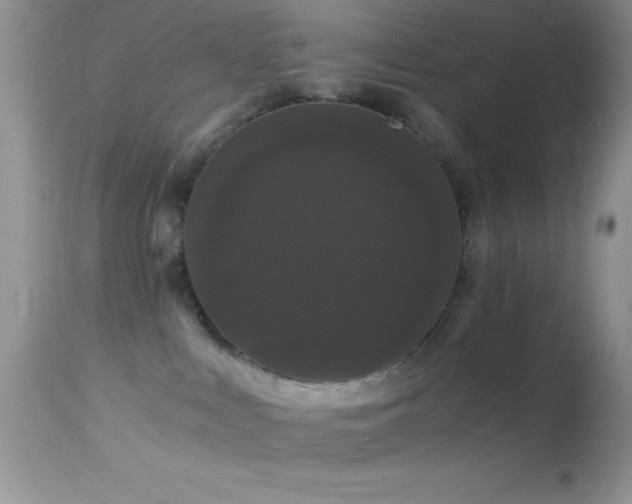 X0000114640043200910201452