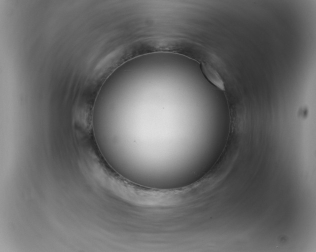 X0000114640044200910201452