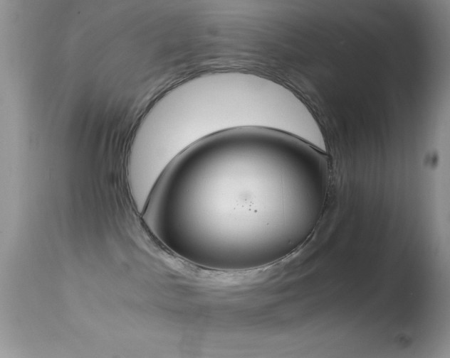 X0000114640045200910201452