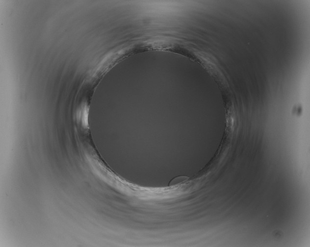 X0000114640046200910201452