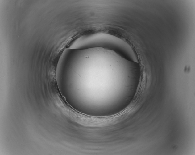 X0000114640048200910201452