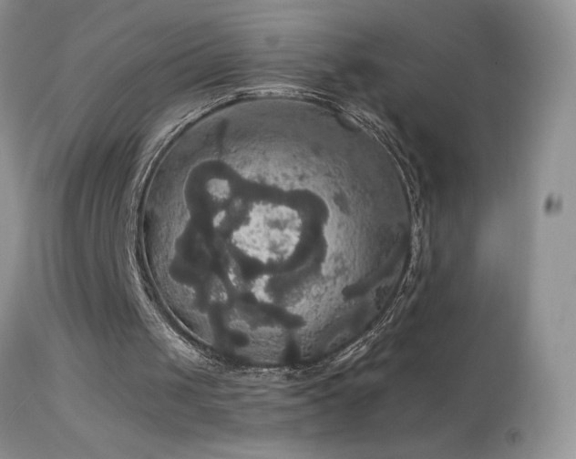 X0000114640049200910201451