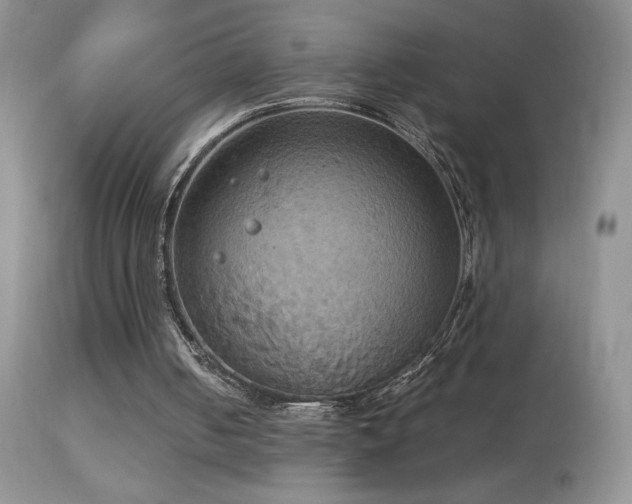 X0000114640050200910201451