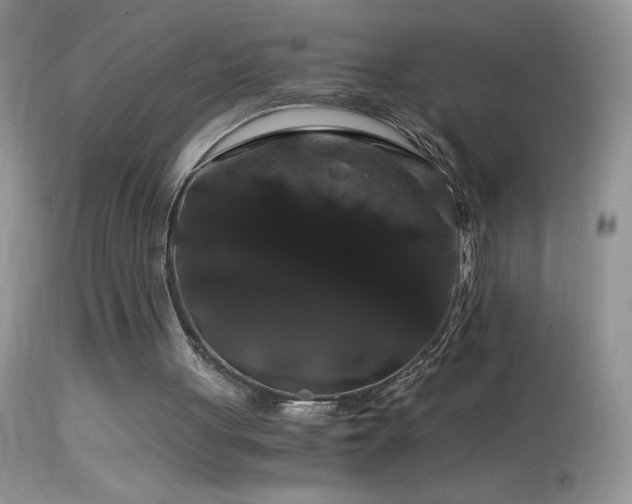 X0000114640051200910201451
