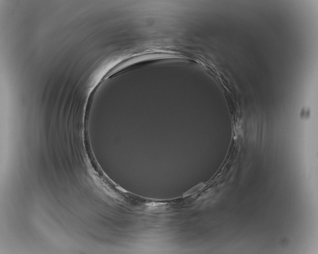 X0000114640052200910201451