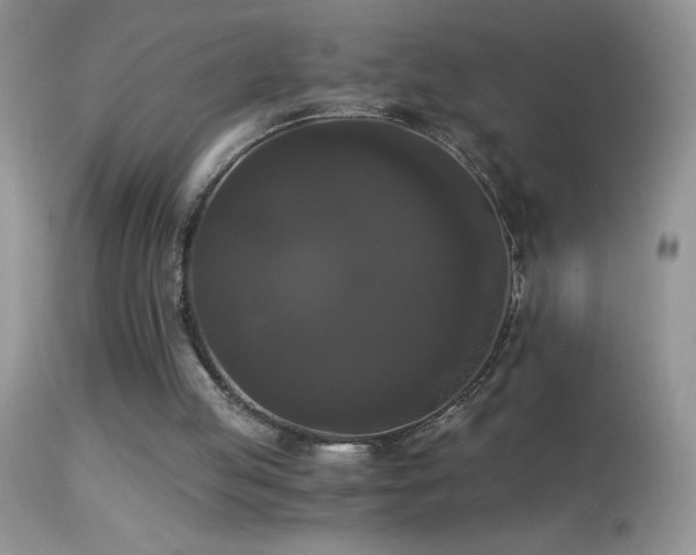 X0000114640053200910201451
