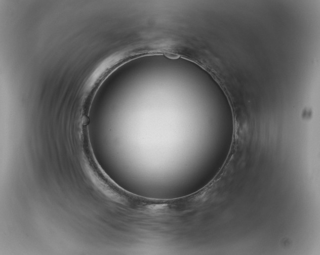 X0000114640054200910201451