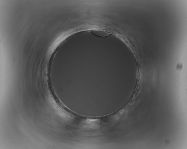 X0000114640055200910201452