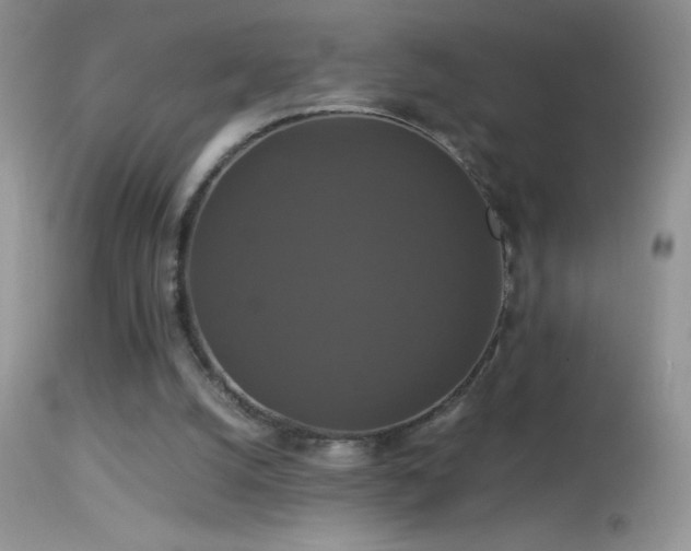 X0000114640056200910201452