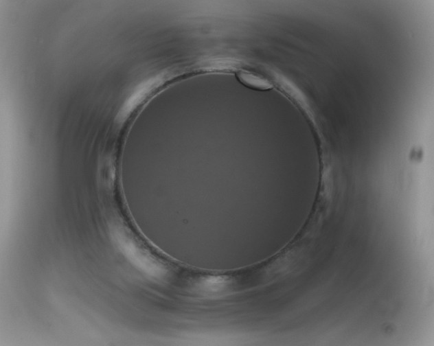 X0000114640059200910201452