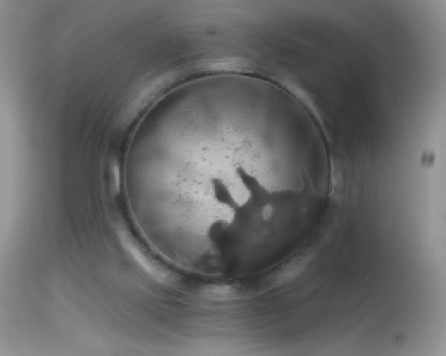 X0000114640061200910201452