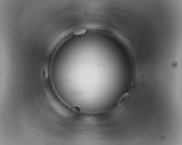 X0000114640062200910201452