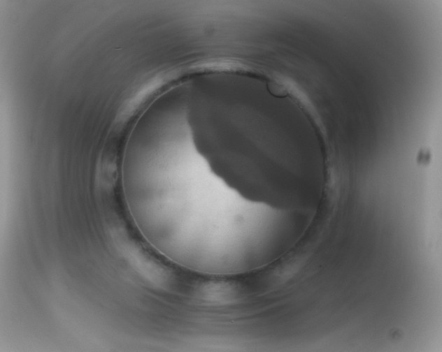 X0000114640063200910201452