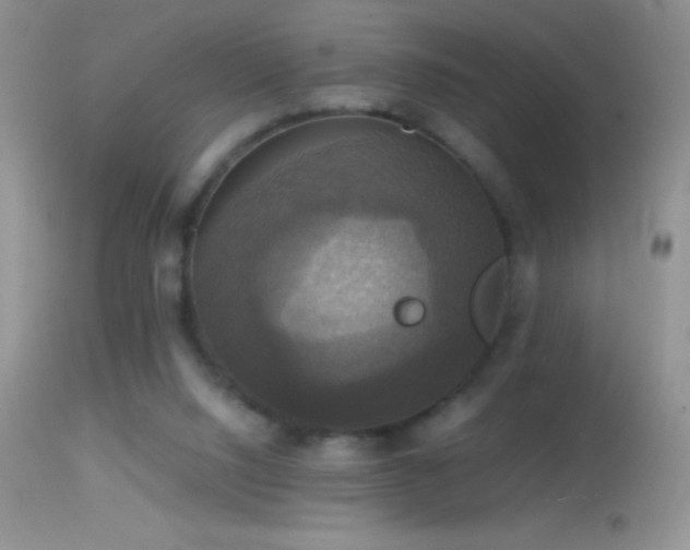 X0000114640064200910201452