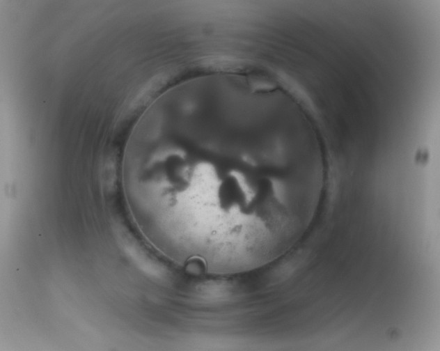 X0000114640065200910201452