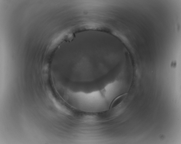 X0000114640066200910201452