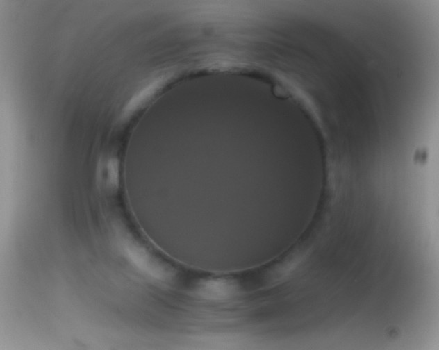 X0000114640067200910201452